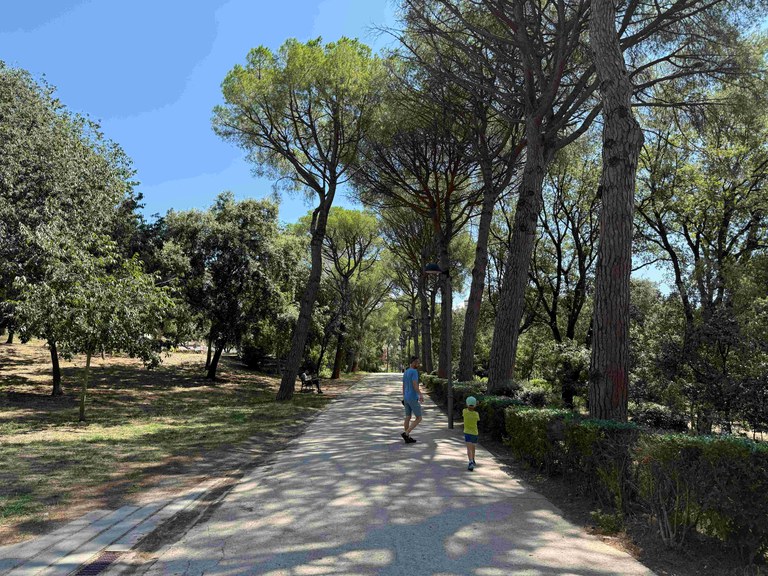 Parc Bosc.jpg