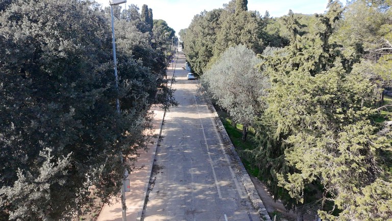 2026_Pujada Castell (Passeig fins al Castell de Sant Ferran).jpeg