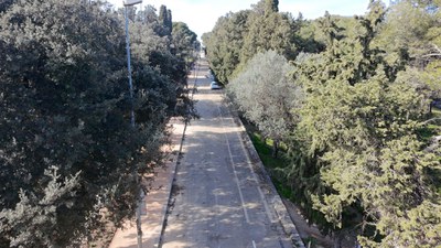 2026_Pujada Castell (Passeig fins al Castell de Sant Ferran).jpeg