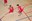 Competicions regulars d'esport federat