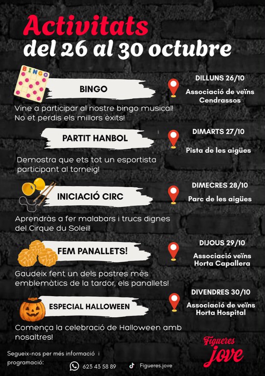 WhatsApp Image 2026-10-23 at 18.01.39.jpeg