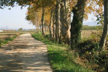El paisatge i els espais naturals