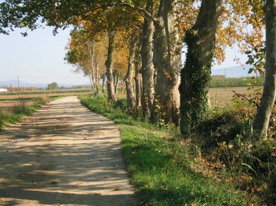 El paisatge i els espais naturals