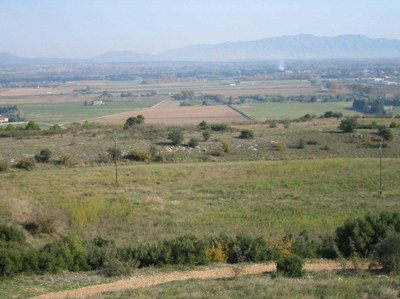 El paisatge i els espais naturals