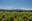 Sector agroalimentari